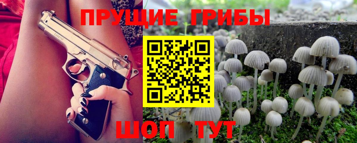 Асино  Галлюциногенные грибы мицелий  Галлюциногенные грибы мицелий  Вход с VPN 