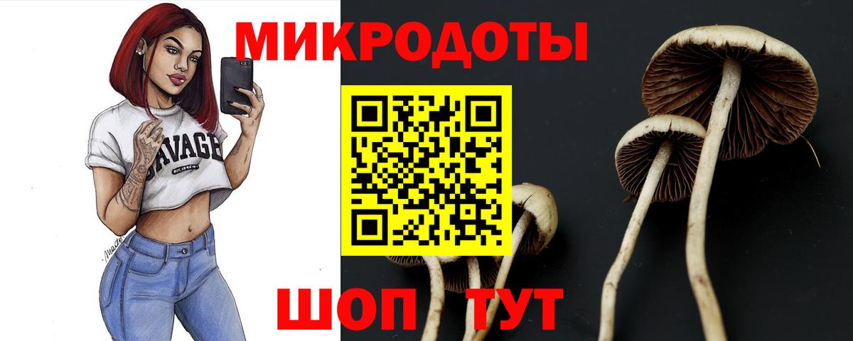 Псилоцибиновые грибы Magic Shrooms Асино